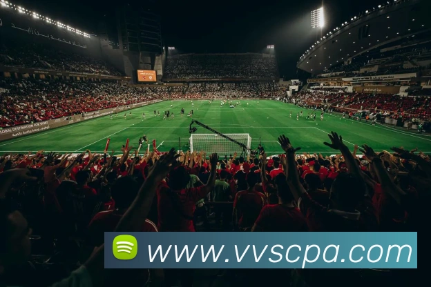 战术分析频道